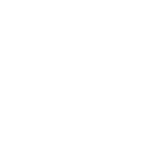 autocarmoretti---logo-affiliazioni-renault